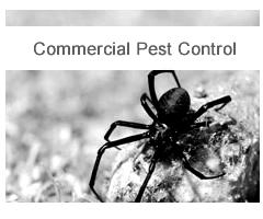 domestic_pest_control_melbourne-blackwhite.jpg